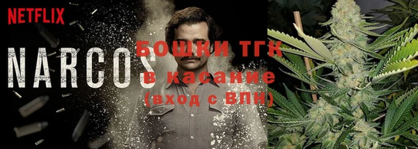 шишки Алексин