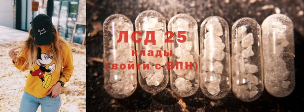 шишки Алексин