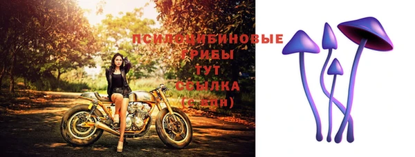 шишки Алексин