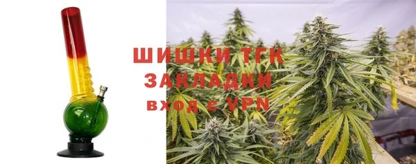 шишки Алексин