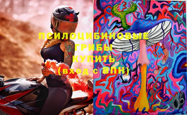 шишки Алексин