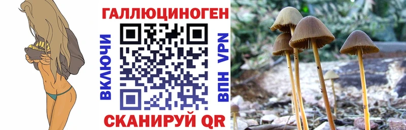 Псилоцибиновые грибы GOLDEN TEACHER  Далматово 