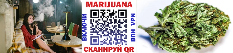 Каннабис планчик Далматово